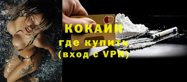 PSILOCYBIN Бородино