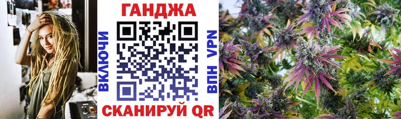 Каннабис планчик  закладка  Гусев 